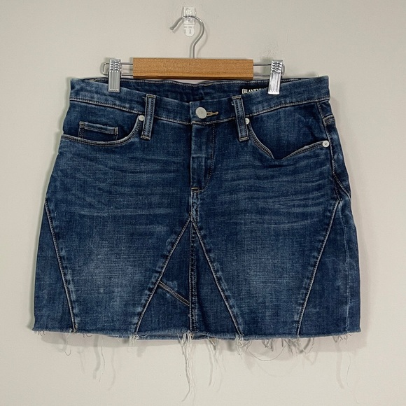 Blank NYC Womens Jean Skirt Size 27 Blue Unfaithful Denim Mini - Picture 1 of 10
